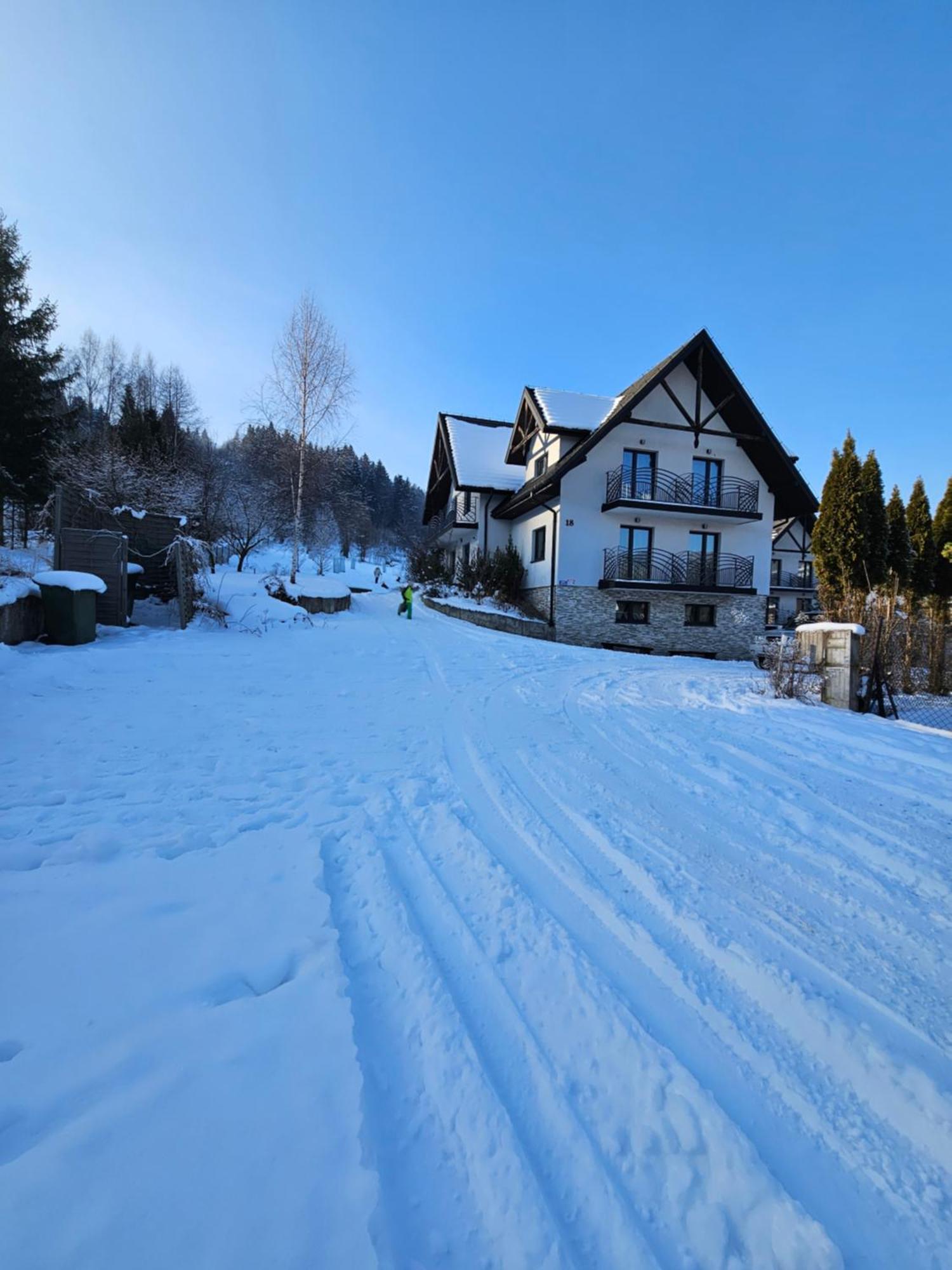 Otulina Park Bed & Breakfast Szczawnica Bagian luar foto