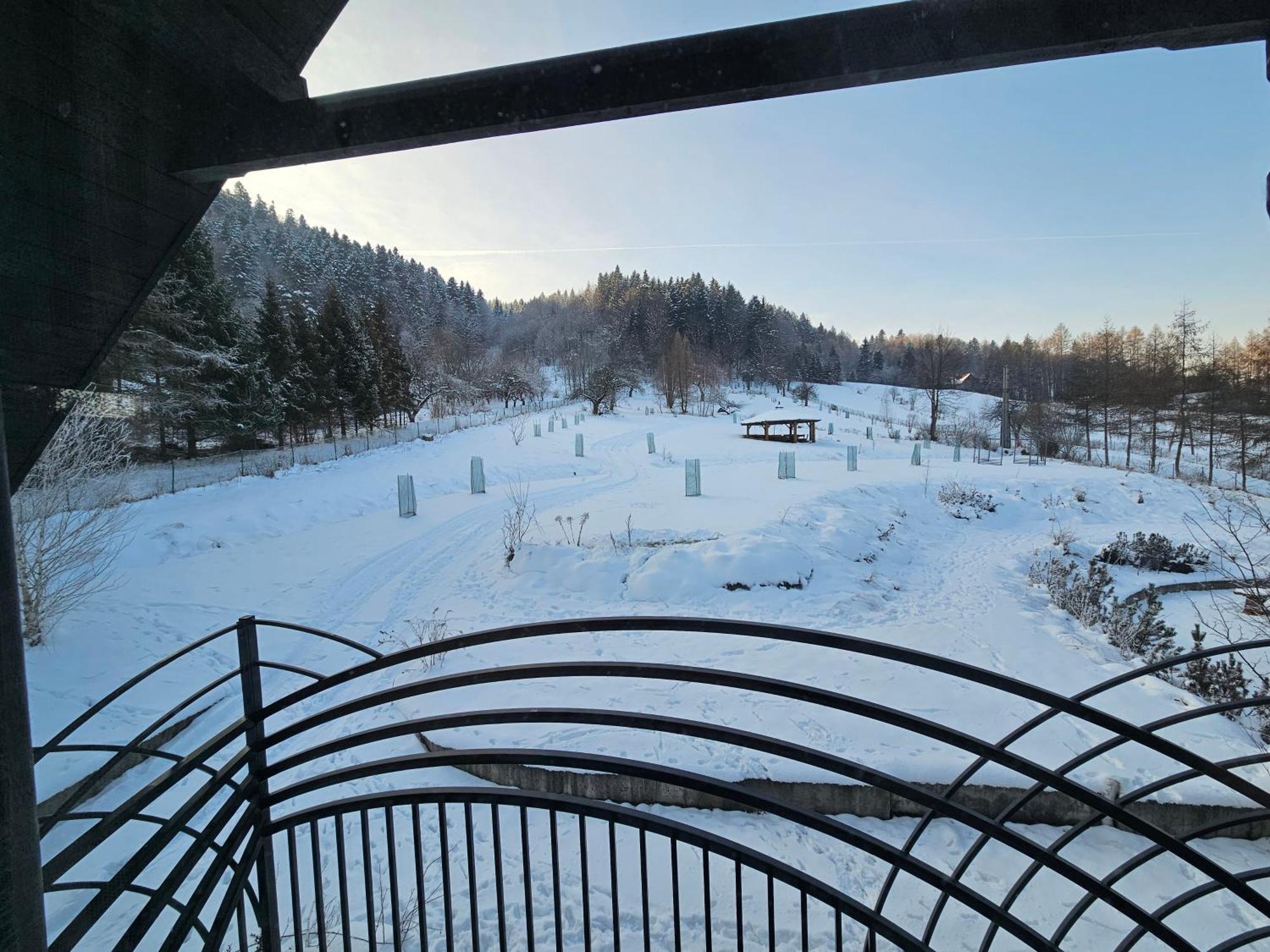 Otulina Park Bed & Breakfast Szczawnica Bagian luar foto