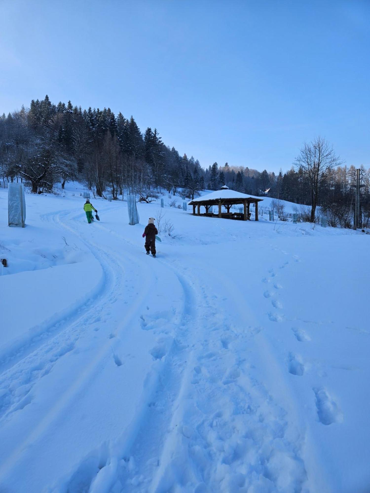 Otulina Park Bed & Breakfast Szczawnica Bagian luar foto