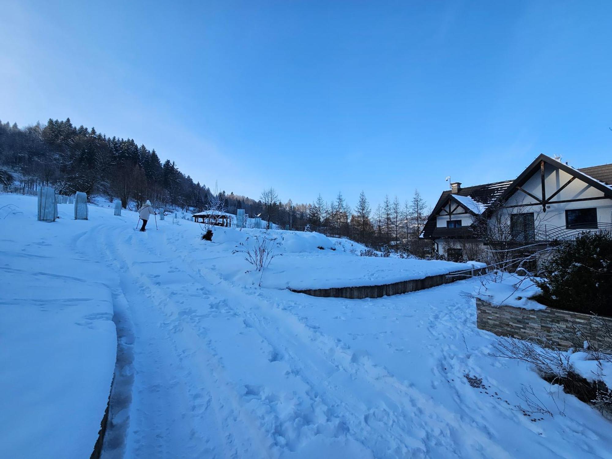 Otulina Park Bed & Breakfast Szczawnica Bagian luar foto