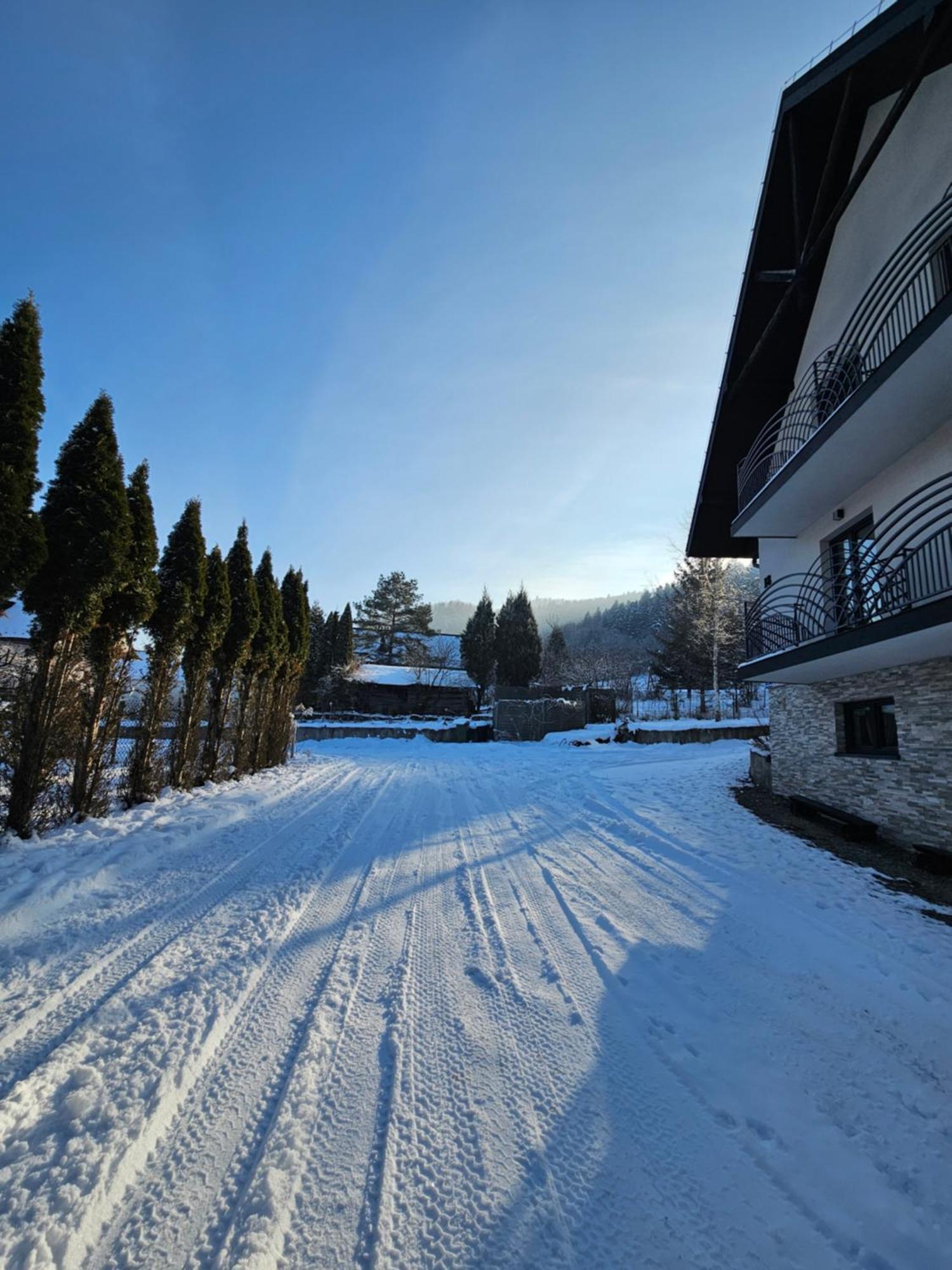 Otulina Park Bed & Breakfast Szczawnica Bagian luar foto