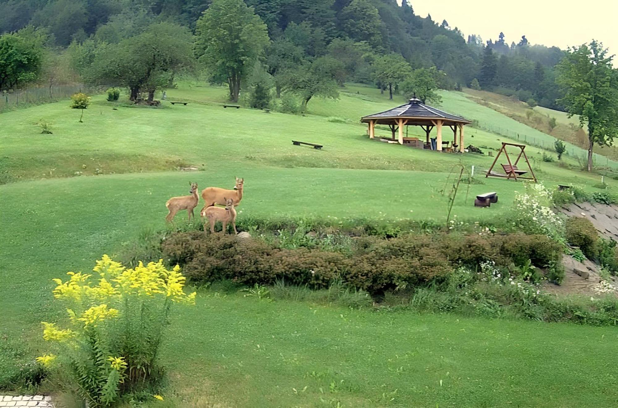 Otulina Park Bed & Breakfast Szczawnica Bagian luar foto