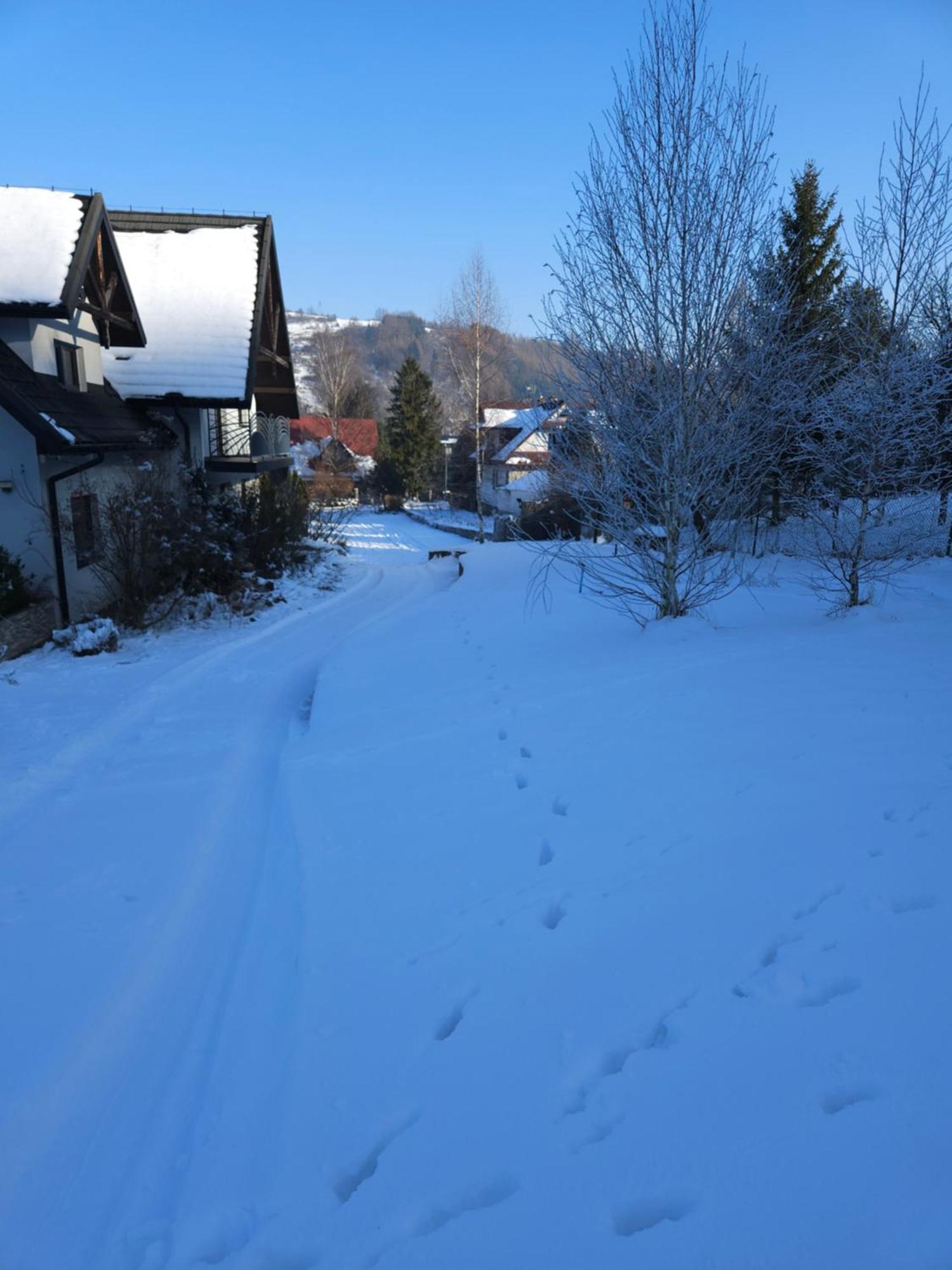 Otulina Park Bed & Breakfast Szczawnica Bagian luar foto