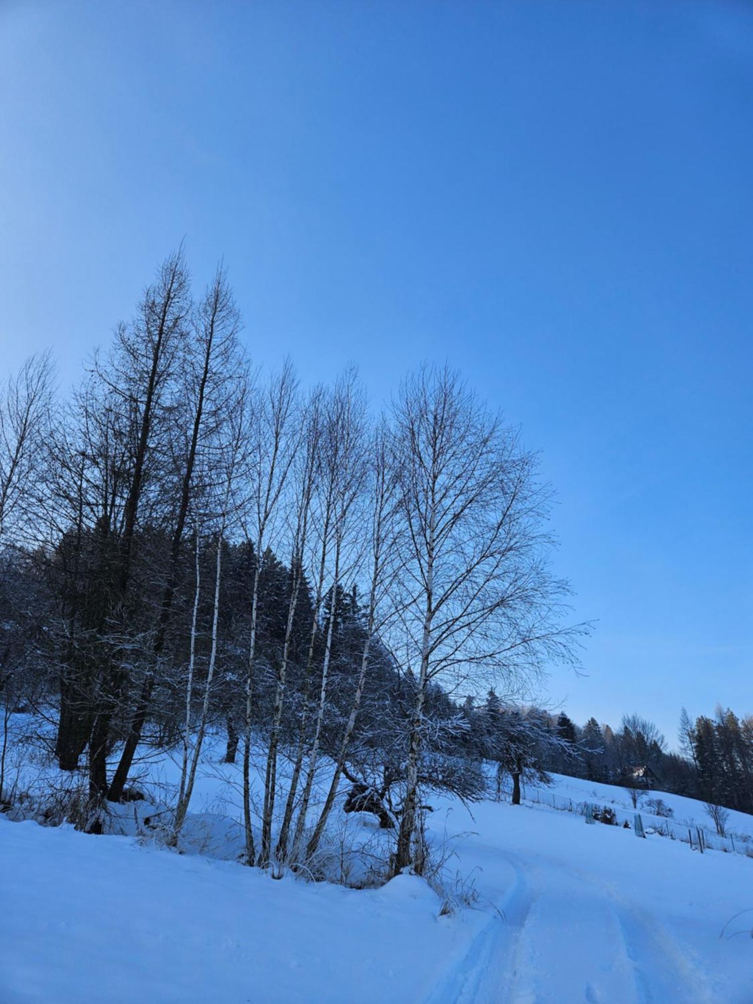 Otulina Park Bed & Breakfast Szczawnica Bagian luar foto
