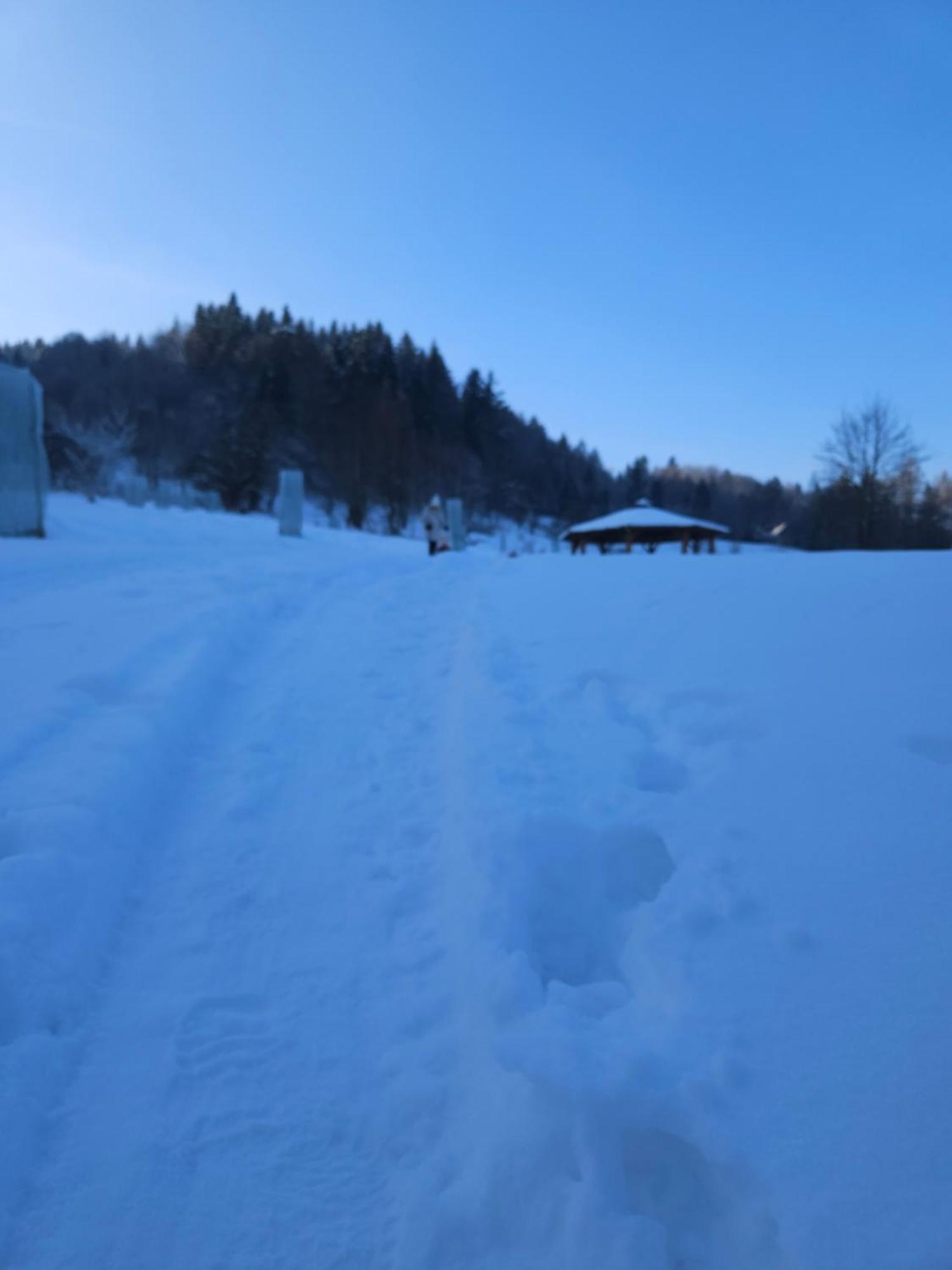 Otulina Park Bed & Breakfast Szczawnica Bagian luar foto