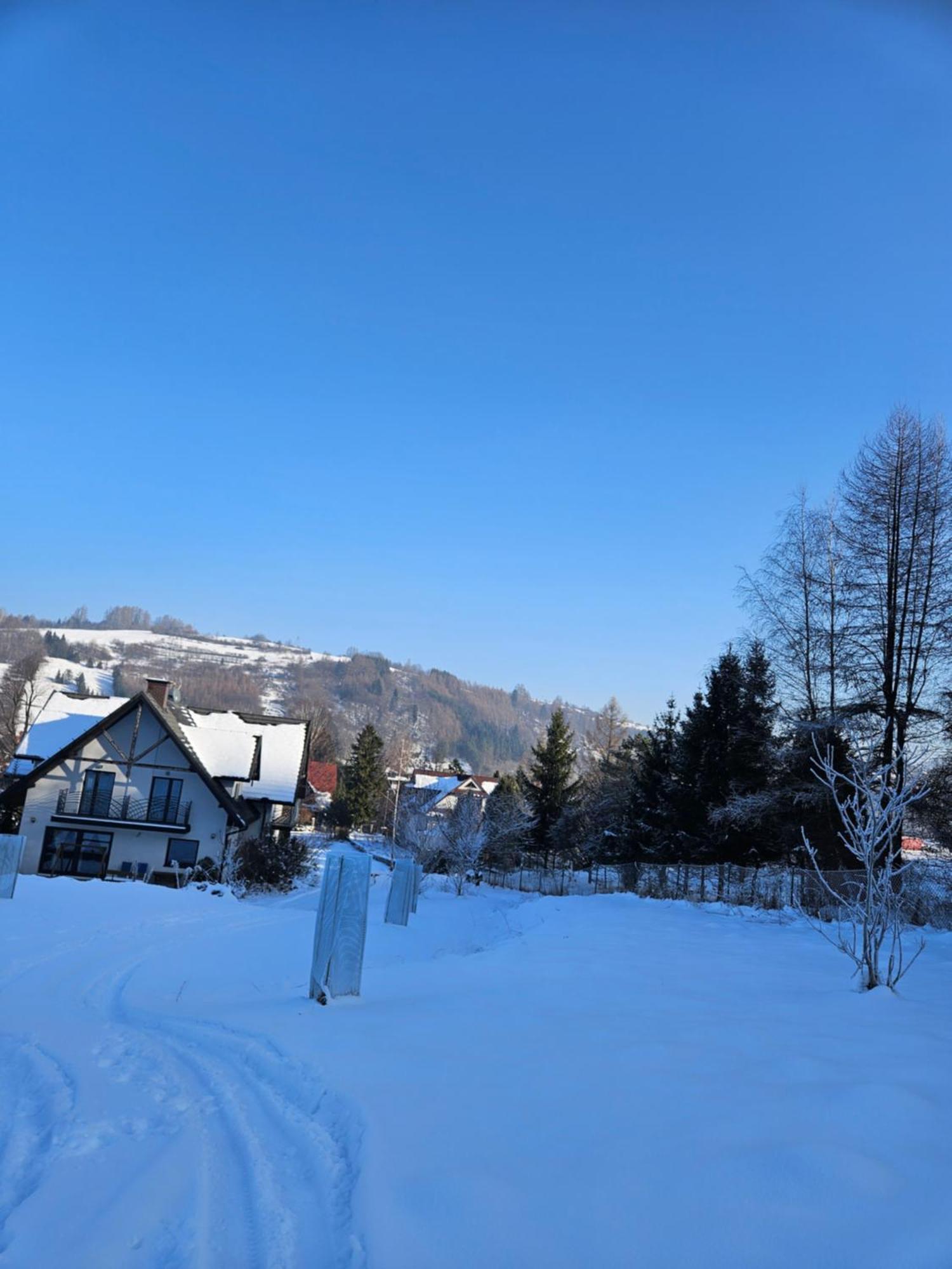 Otulina Park Bed & Breakfast Szczawnica Bagian luar foto