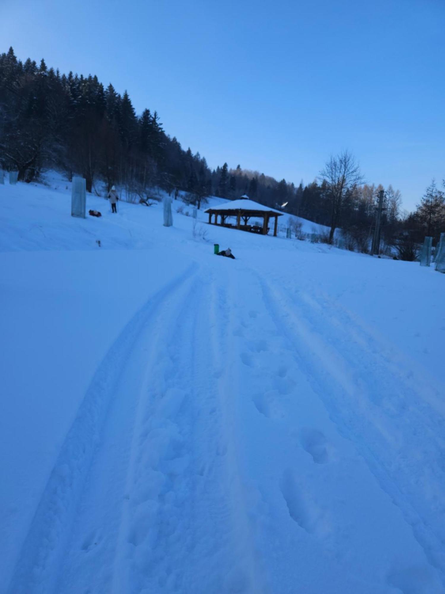 Otulina Park Bed & Breakfast Szczawnica Bagian luar foto